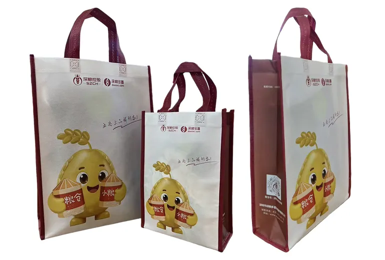 Gahumi cases 127-Custom Non-woven bag-01.webp